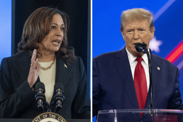 Kamala Harris Responds To Donald Trump's Comments About Her Blackness