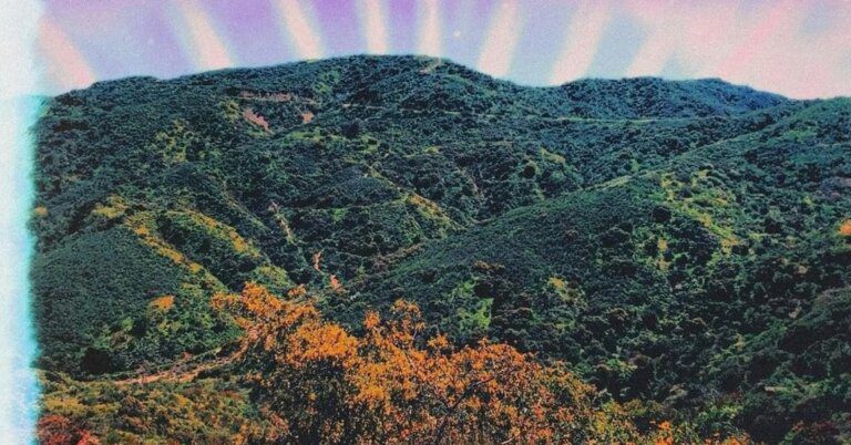 Russ celebrates his life achievement by conducting Williams’ production of “Ecstasy (Freestyle)” HNHH App on App Store