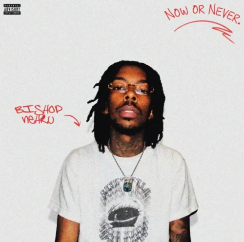 Bishop Nehru’s fourth album, “Now or Never” stands out from the sound of “solace in Shadows” (Album Review) Bishop nehru's fourth album, "now or never" stands out from