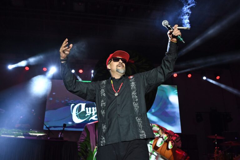 Cypress hill's "crazy in the brain" begins with chubb rock