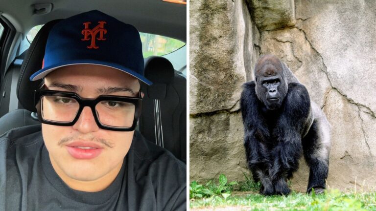 Uh, did this gorilla at the Chicago Zoo clap to