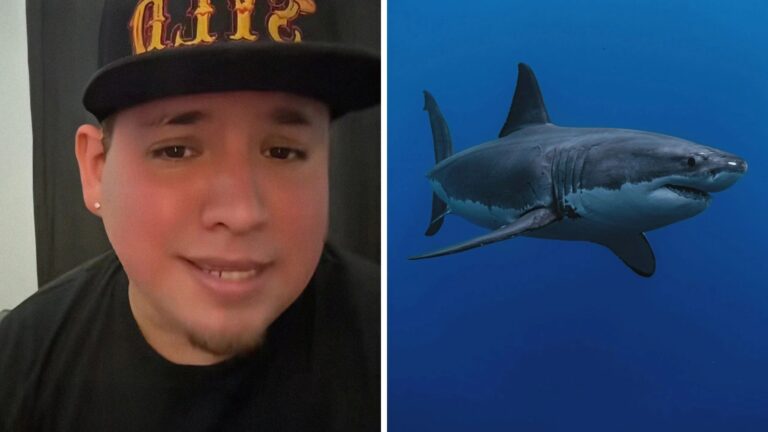 Does the famous shark "restaurant" hide a secret?