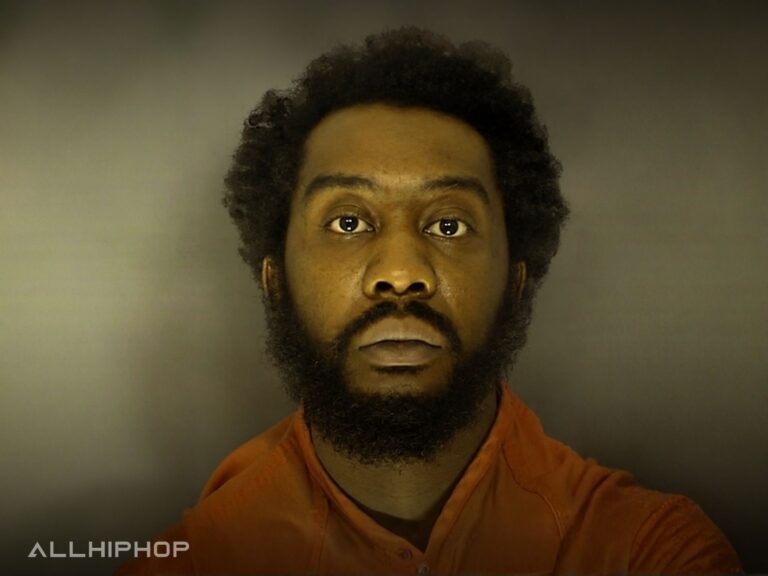 Designer arrested again in alleged hammer chase, faces new domestic